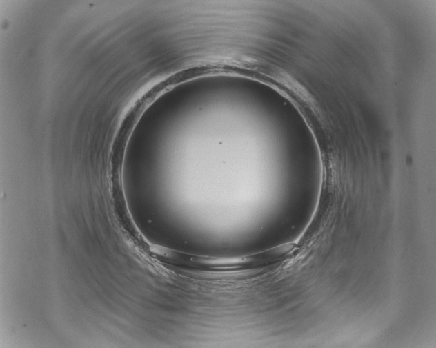 X0000070881020200606191310