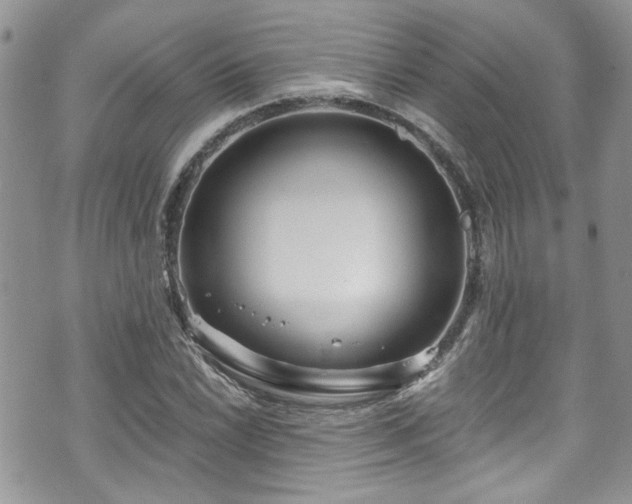 X0000070881022200606191310