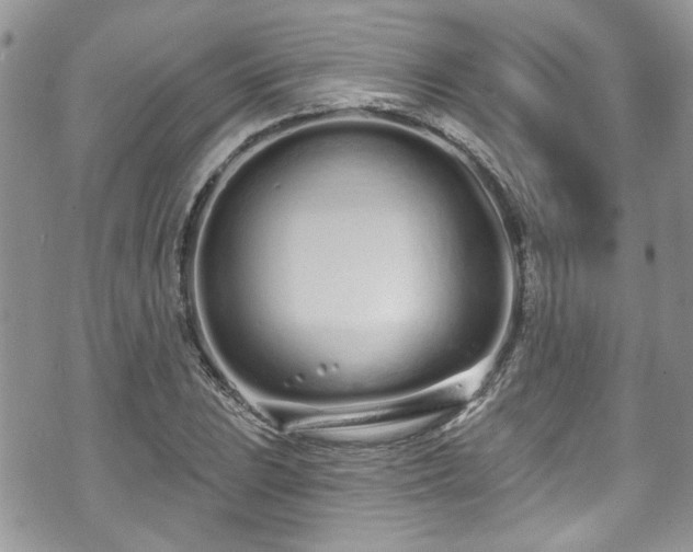 X0000070881023200606191310