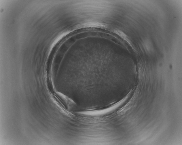 X0000070881024200606191310