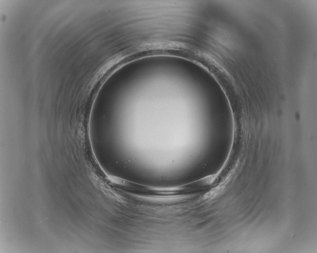 X0000070881025200606191310