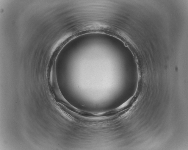 X0000070881026200606191310