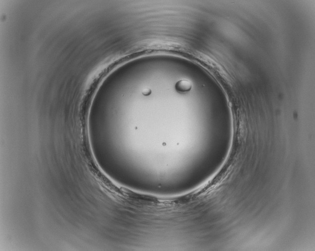 X0000070881027200606191310