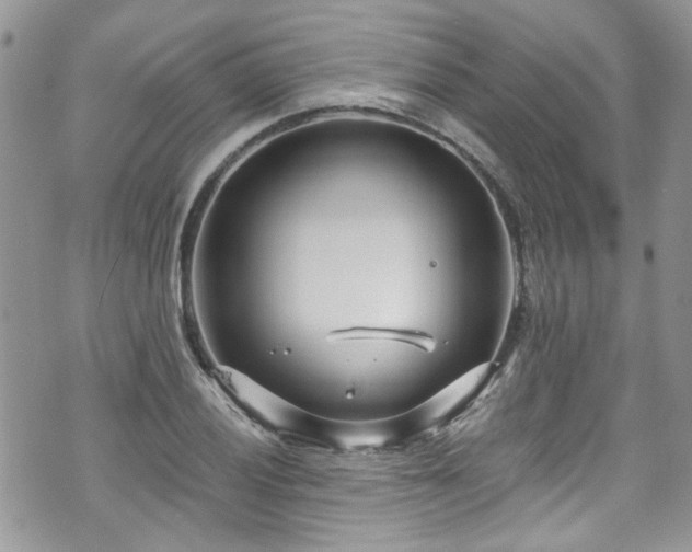 X0000070881028200606191310