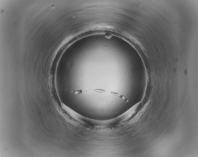 X0000070881029200606191310