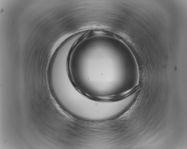 X0000070881030200606191310