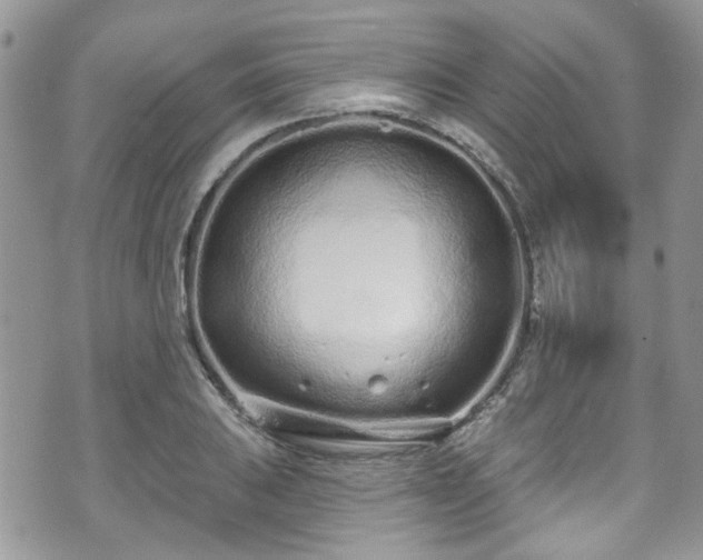 X0000070881031200606191310