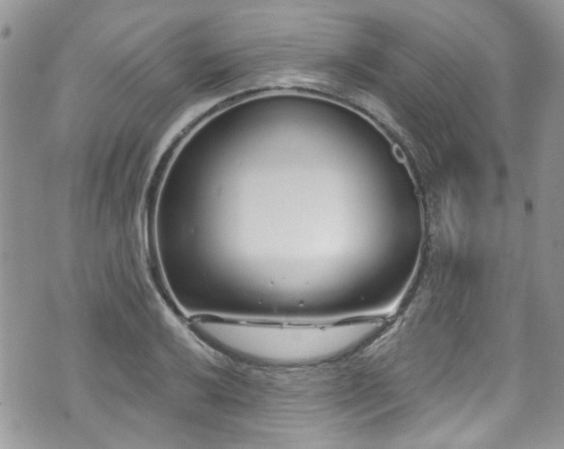 X0000070881032200606191310