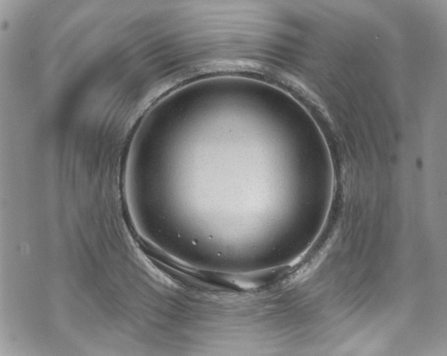 X0000070881033200606191310