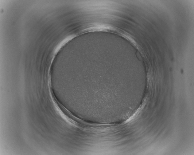 X0000070881034200606191310