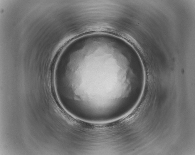 X0000070881035200606191310