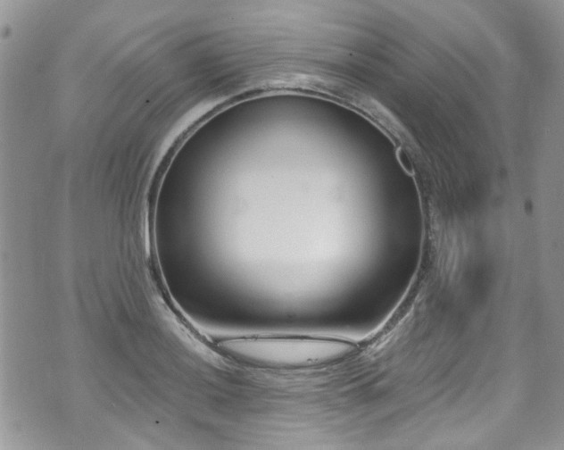 X0000070881036200606191310