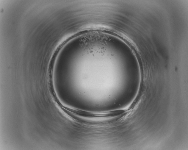 X0000070881037200606191310