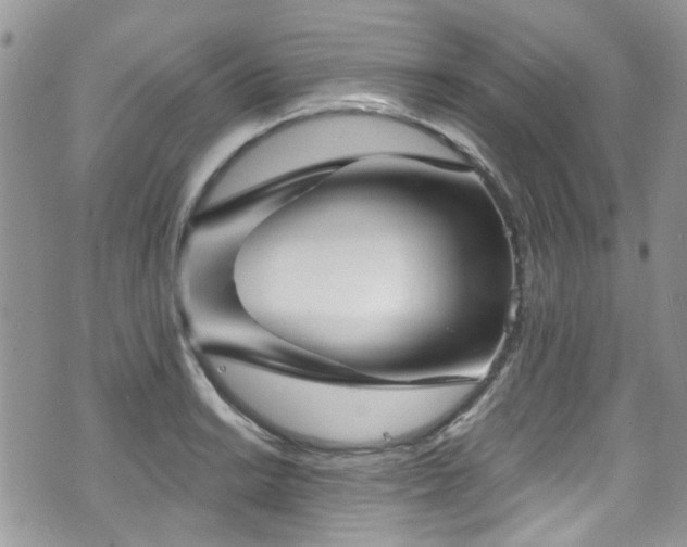 X0000070881038200606191310