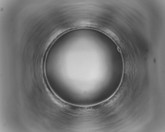 X0000070881039200606191310