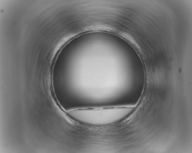 X0000070881040200606191310