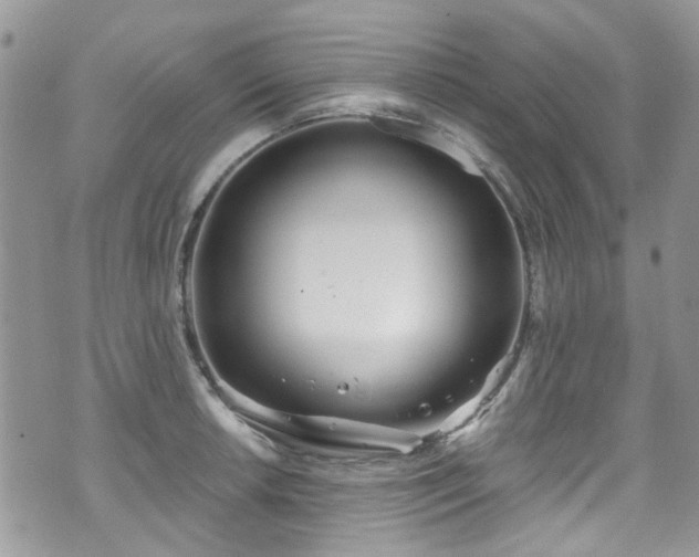 X0000070881042200606191310