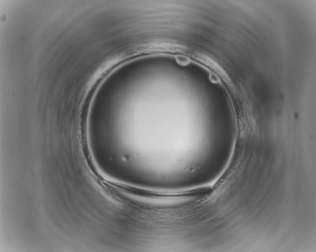 X0000070881043200606191310