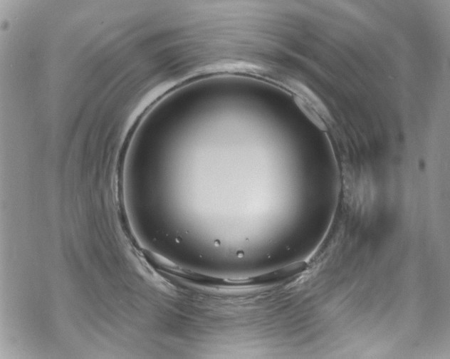 X0000070881044200606191310