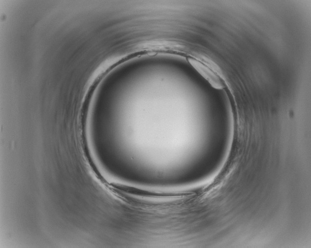 X0000070881045200606191310