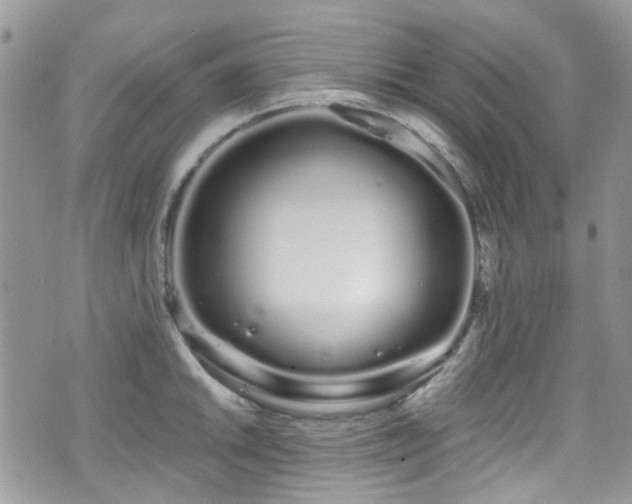 X0000070881046200606191310