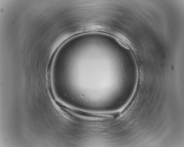 X0000070881047200606191310