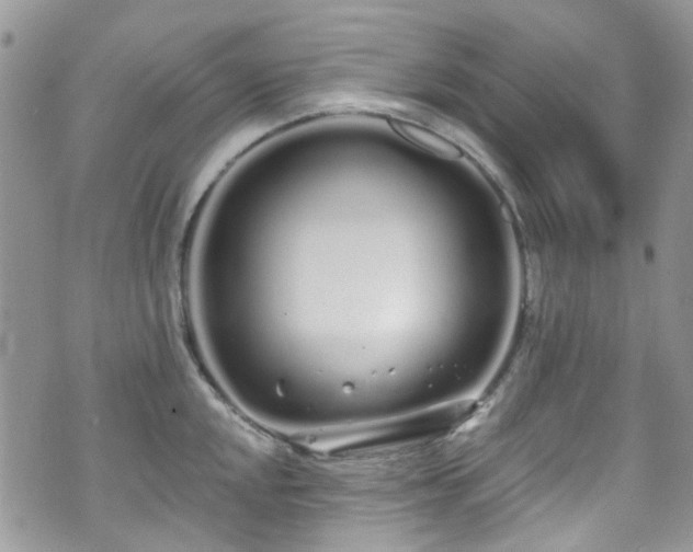 X0000070881048200606191310