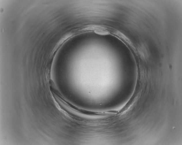 X0000070881049200606191310