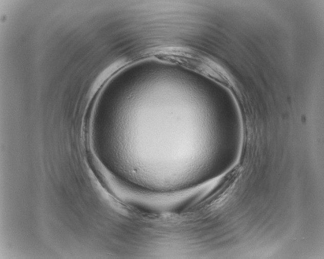 X0000070881050200606191310