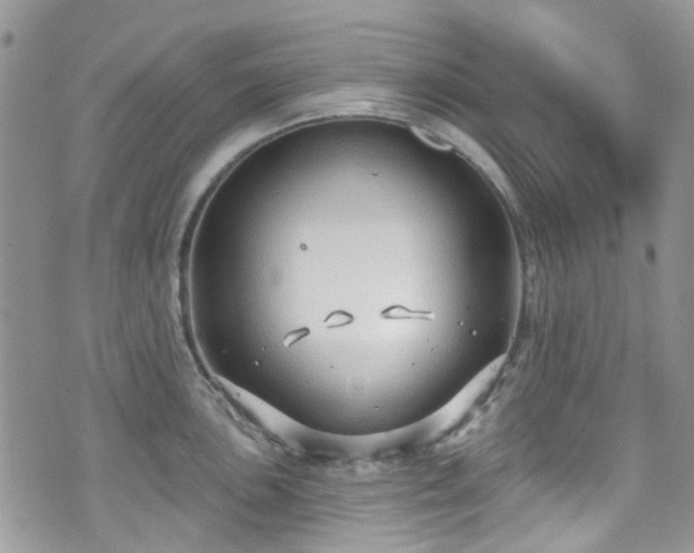 X0000070881051200606191310