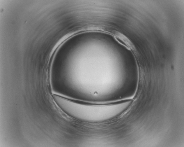 X0000070881052200606191310