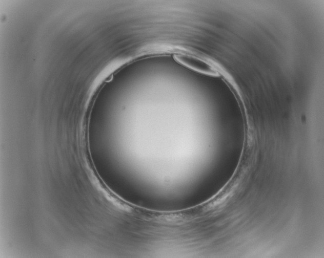 X0000070881053200606191310