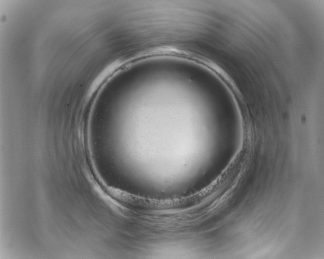 X0000070881054200606191310