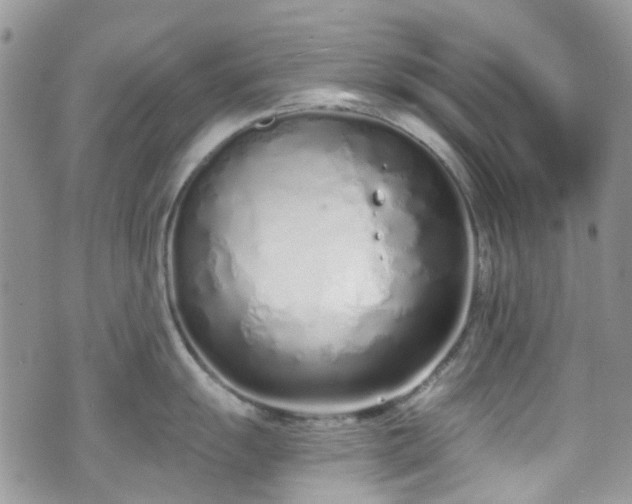 X0000070881055200606191310