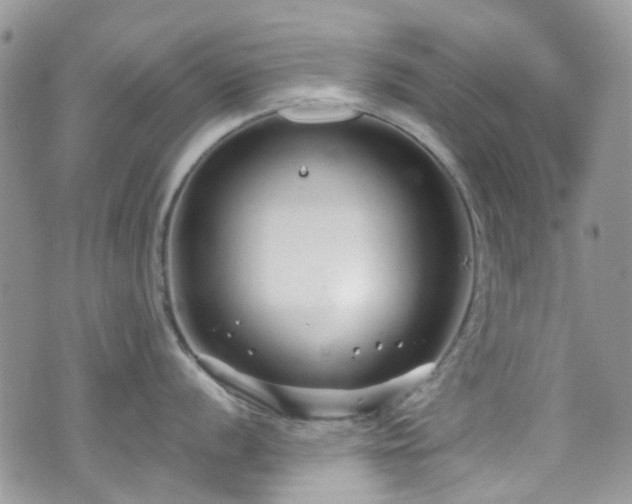 X0000070881056200606191310