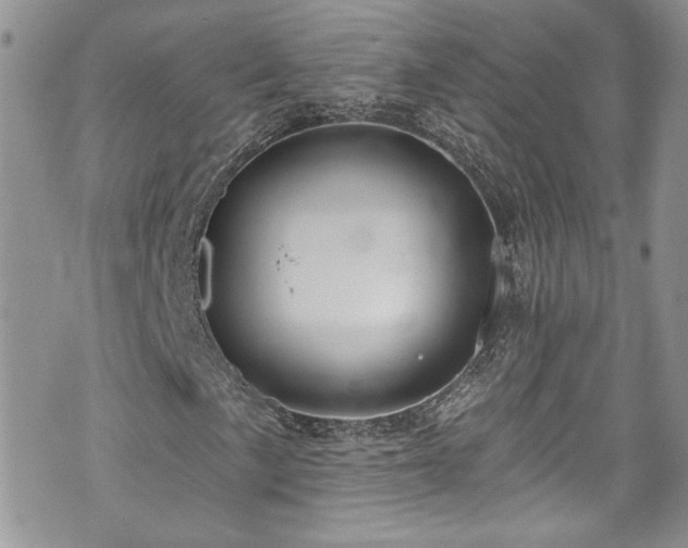 X0000070881057200606191309