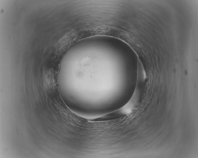 X0000070881058200606191309