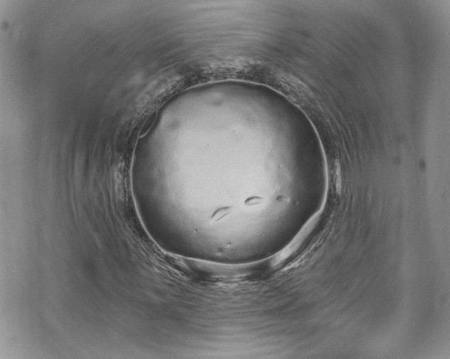 X0000070881059200606191309