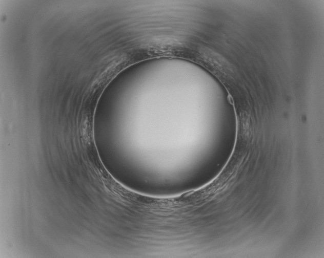 X0000070881060200606191309