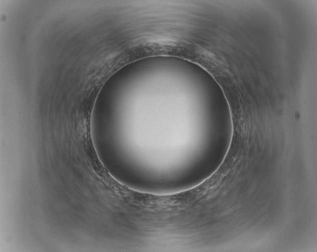 X0000070881061200606191309