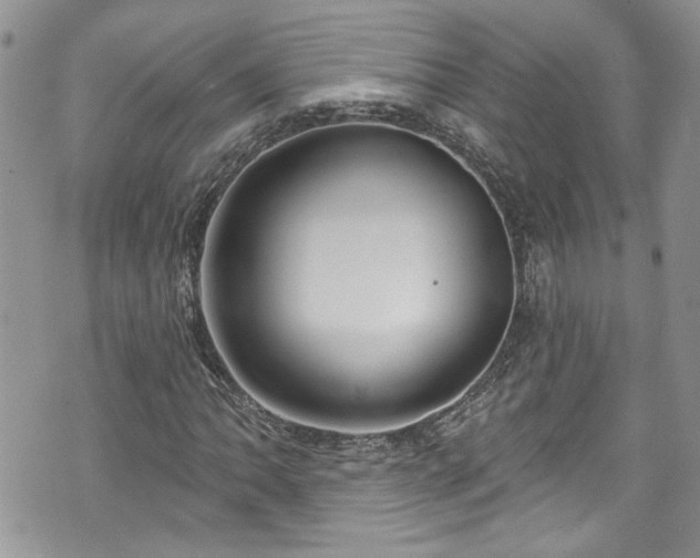 X0000070881062200606191309