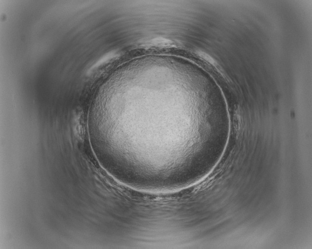 X0000070881063200606191309