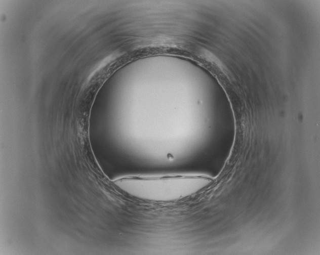 X0000070881064200606191309