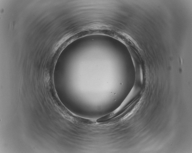 X0000070881065200606191309