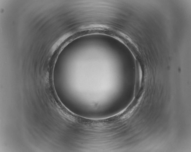 X0000070881066200606191309