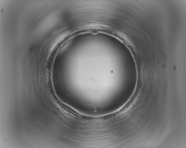 X0000070881067200606191309