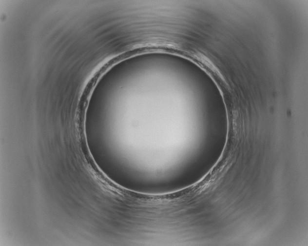 X0000070881068200606191309