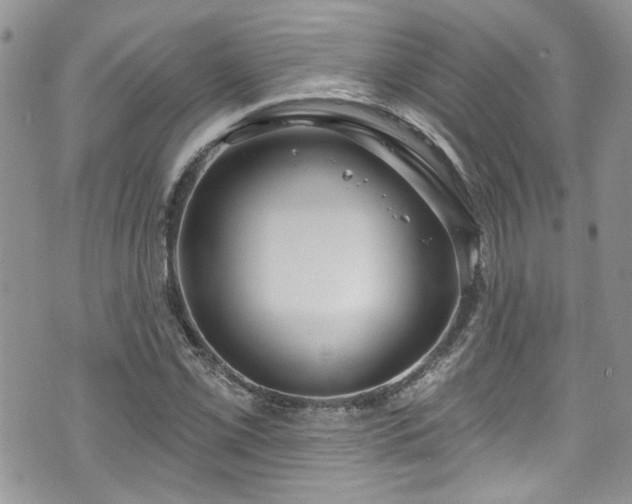 X0000070881069200606191309