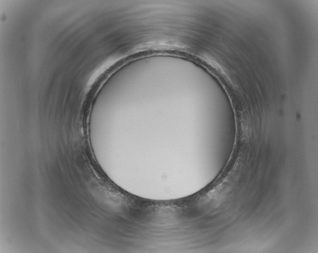 X0000070881070200606191309