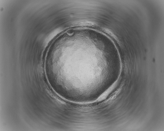 X0000070881071200606191309